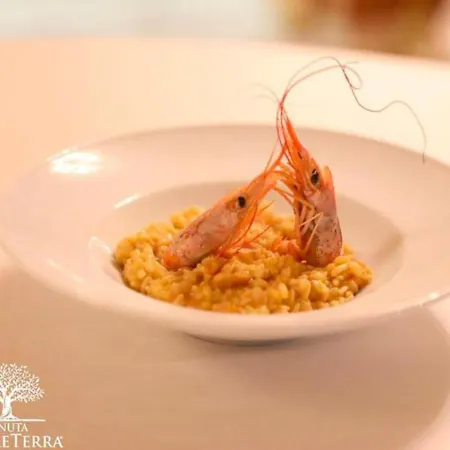 Tenuta Madre Terra * Ovile Sant'Andre