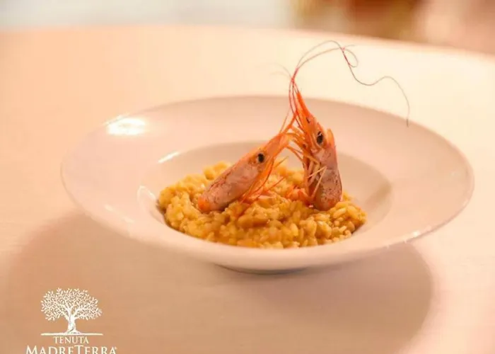 Tenuta Madre Terra * Ovile Sant'Andre